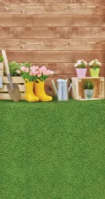 Spring me