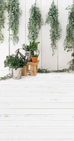 Be Organic