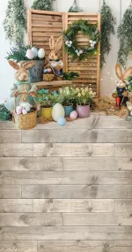 Rabbit & Co