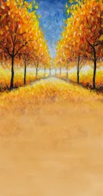 My Road