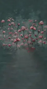 Flower Queen