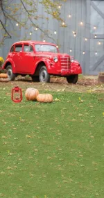 Fall Autumn