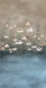 Chamomile field