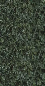 Green Wall