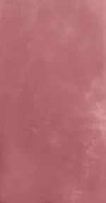 Dirty Plum