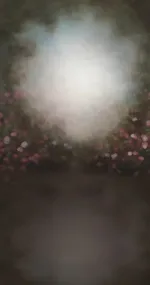 Fine Arts
