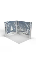 Snowy forest