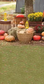 Pumpkin festival