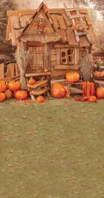 Witch's house
