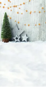 Christmas Under The Stars