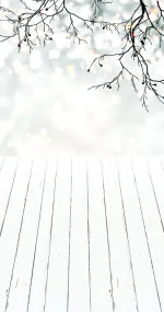 Frosty twig