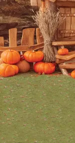 Proud pumpkins