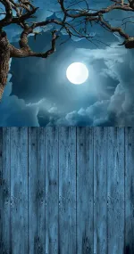 Moon by night