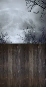 Scarry Moon
