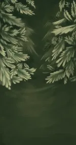 Call of the forest