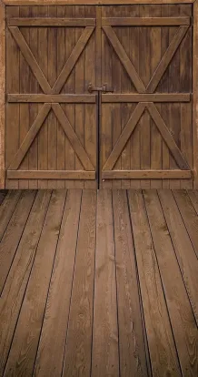 Dream door