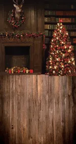 Christmas Library