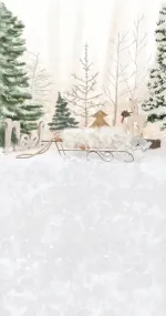 Christmas sleigh