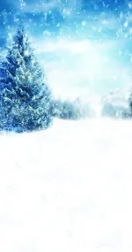 Winter walk