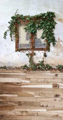 DB Old window & wood