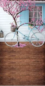 Easter bike