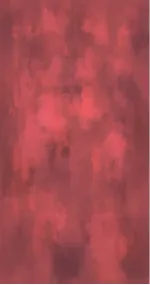 Shades of burgundy