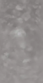 Dance Gray