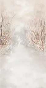 Misty Forest