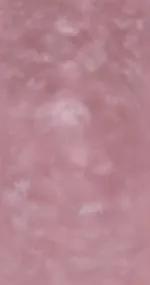 Pink Dance