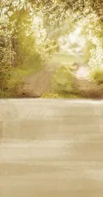 Summer Gate