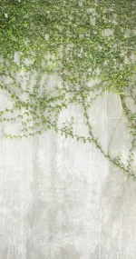 Live concrete