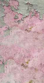 Old Pinky