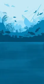 Sea dream