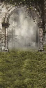 Foggy Forest