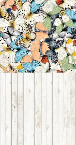Butterfly Power