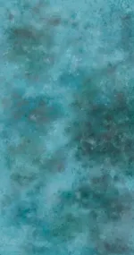 Mint adventure