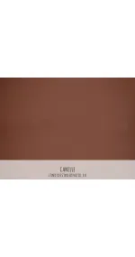 Canelle