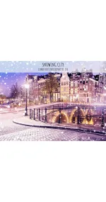 Snowing City