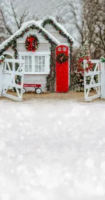 Christmas Palace