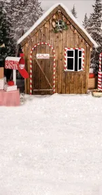 Mr. Santa