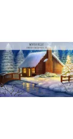 Winter Night