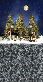 Jessica's Christmas