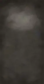 COAL