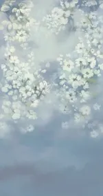 Floral Fields
