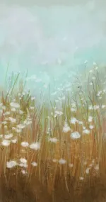 Fluffy Fields