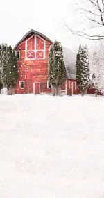 Christmas Barn