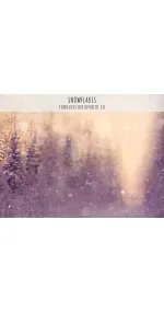 SNOWFLAKES