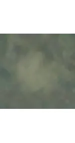 PAW