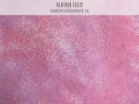 Heather field
