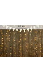 PARTY WALL